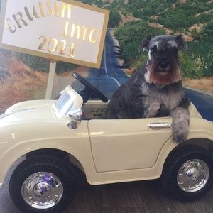 Meet your Posher, Linda